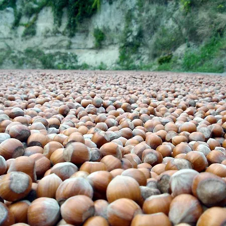 Val D'oche Castel Boglione