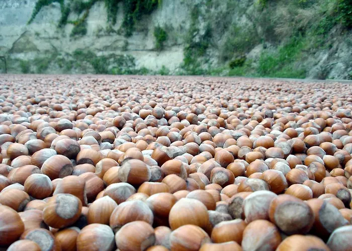 Val D'oche Castel Boglione